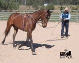 Fort Worth Guy McLean Training Surcingle