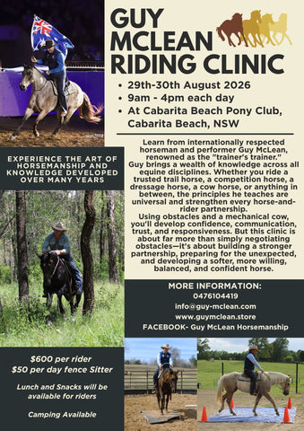 Fence Sitter- Cabarita Beach Riding Clinic