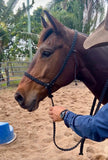 Guy McLean Adjustable Rope Halter