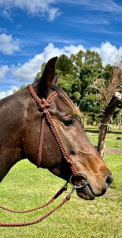 Guy McLean Rope Bridle