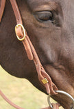 Futurity Knot Bridle