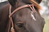 Futurity Knot Bridle