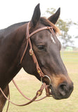 Futurity Knot Bridle